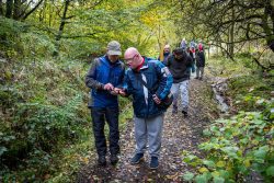 A group of people walking through the woods